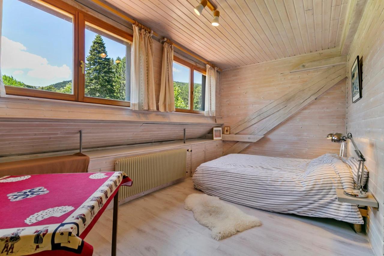 Chalet Spacieux A Wangenbourg-Engenthal Avec Vue Panoramique エクステリア 写真