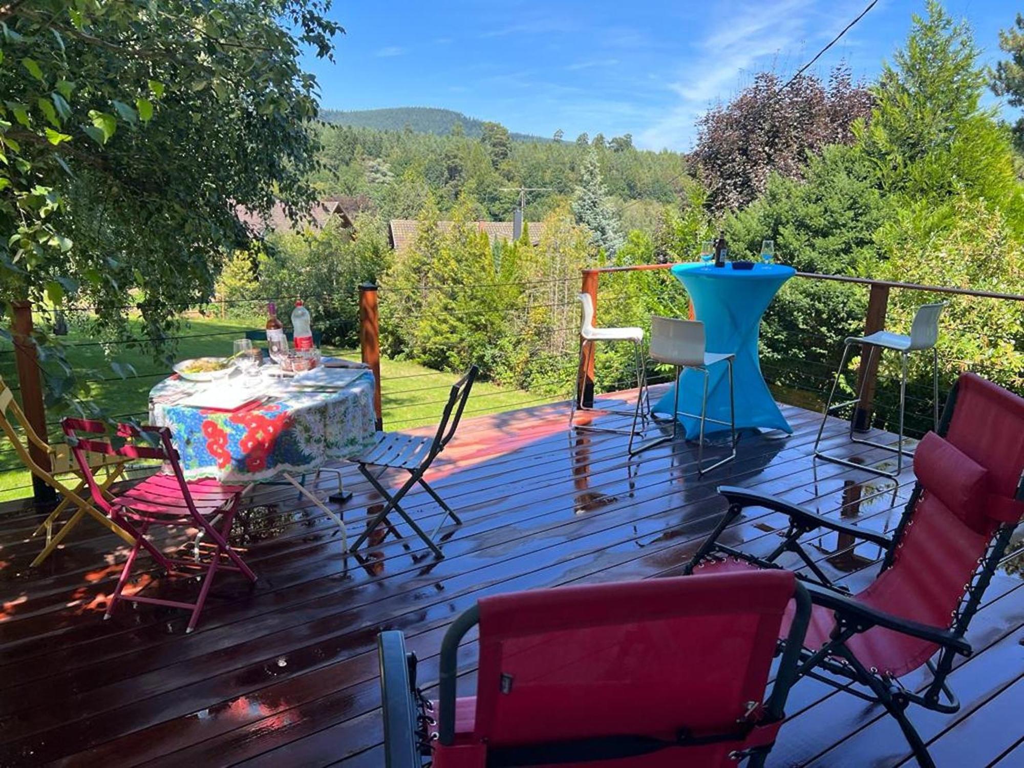 Chalet Spacieux A Wangenbourg-Engenthal Avec Vue Panoramique エクステリア 写真